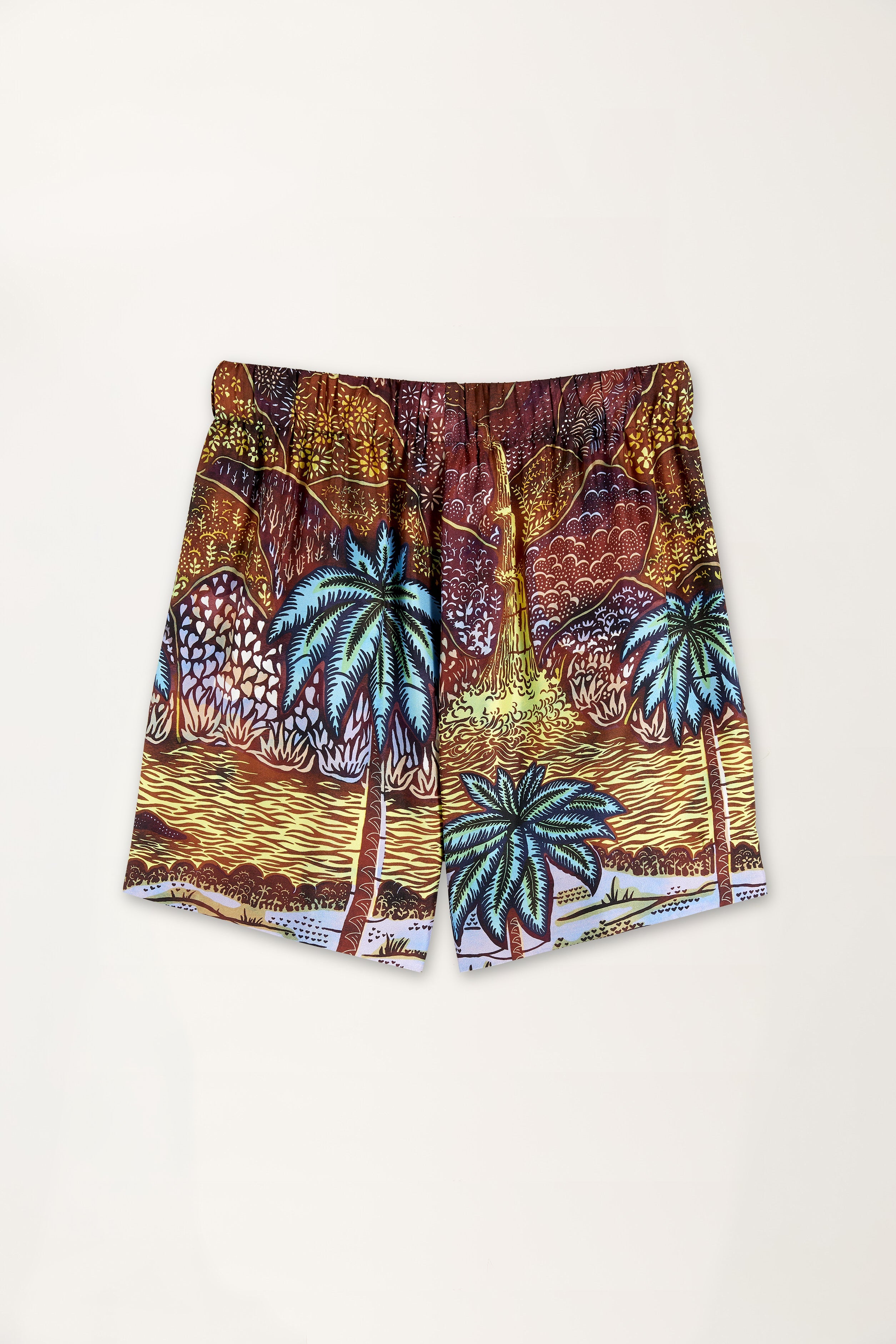 Rainbow Print Shorts